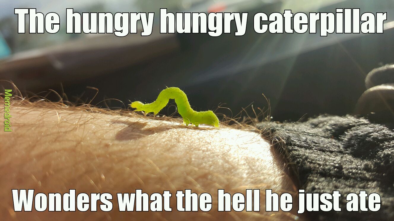 Hungry hungry caterpillqr - meme
