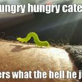 Hungry hungry caterpillqr