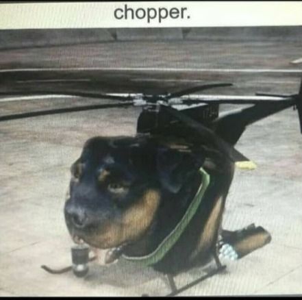Chuooper - meme
