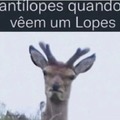Foge Lopes