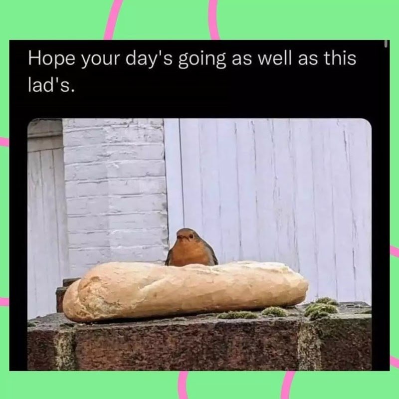 Food home - meme