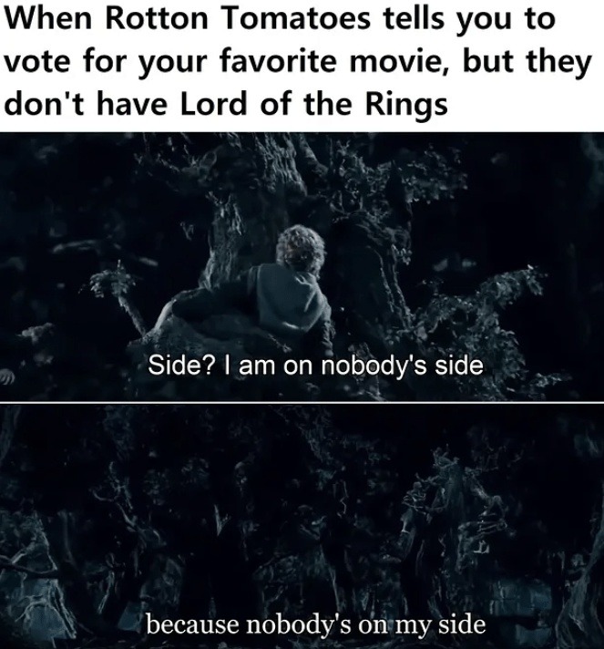No Lord of the Rings in the poll? I'm on nobody's side - meme