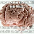 Pinshi cerebro >:v