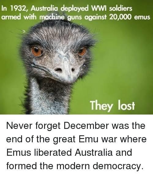 The great emu war - meme