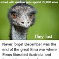 The great emu war