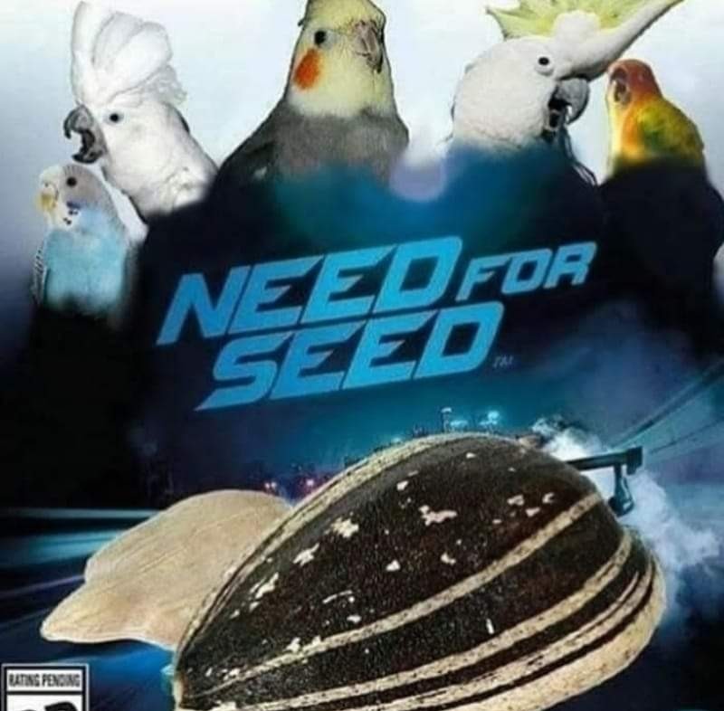 Seedless - meme