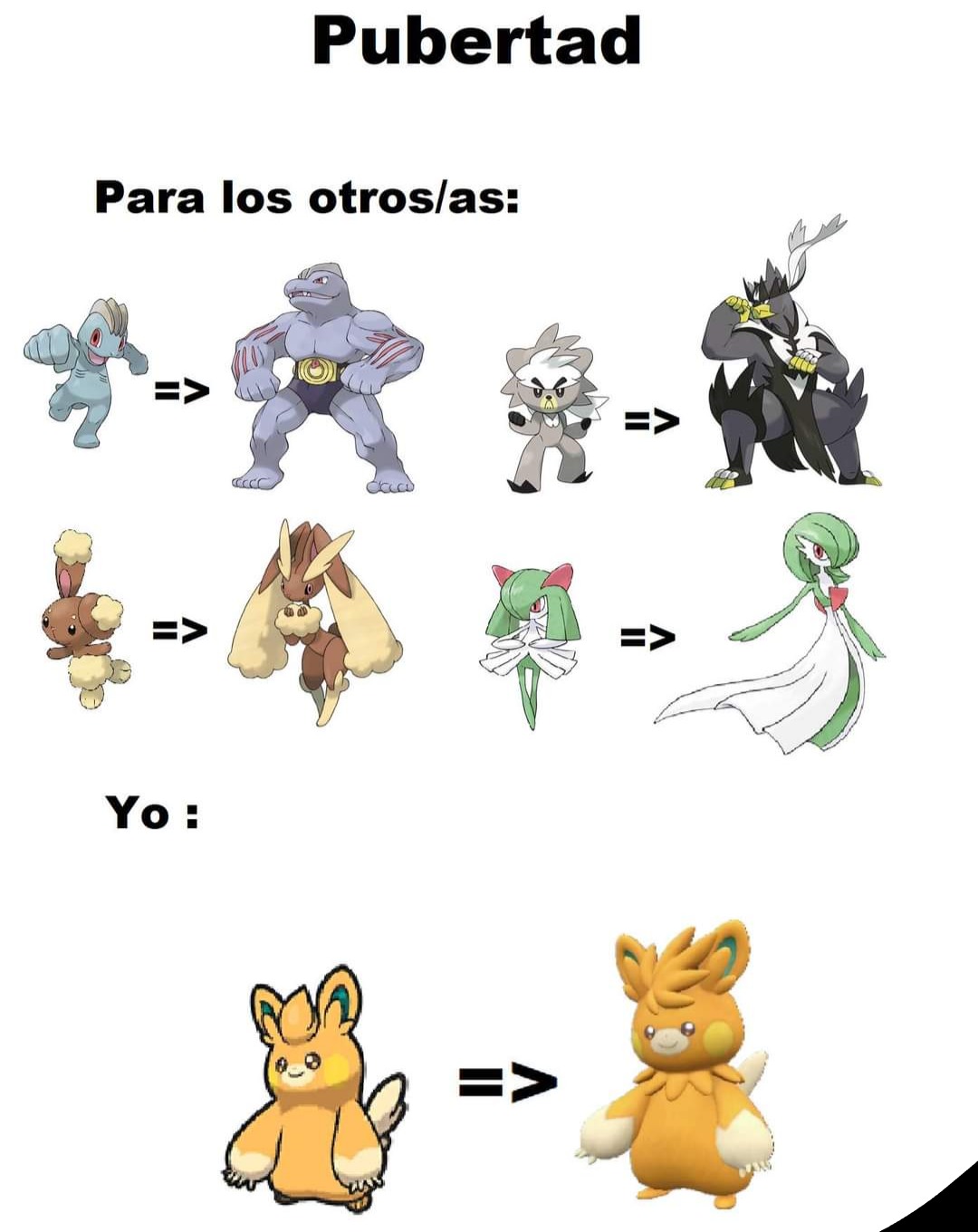 Yo pasé de ser un Machoke a un Machamp ustedes serían un Dunsparce o Pawmo por los simples y feos - meme