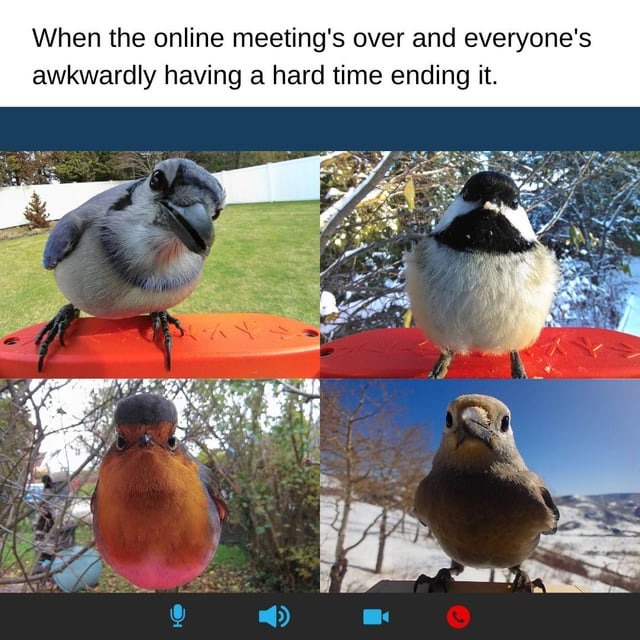 Online meeting is over - meme