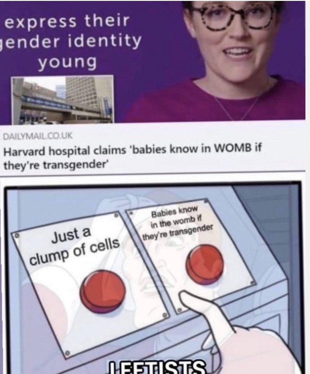 so which is it feminists - meme