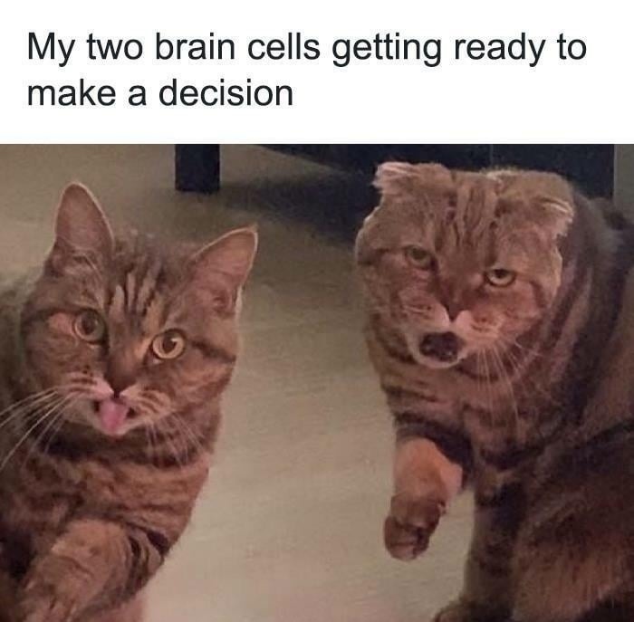 My two brain cells when it's decision time - meme