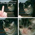 Aww poor sad kitty