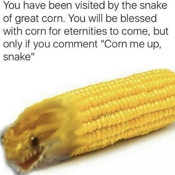 BOW DOWN TO THE CORN OF SNAKE - meme