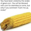 BOW DOWN TO THE CORN OF SNAKE