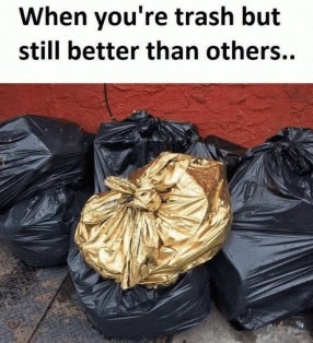 I am better trash - meme