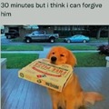 pizza delivery guy is a doggo