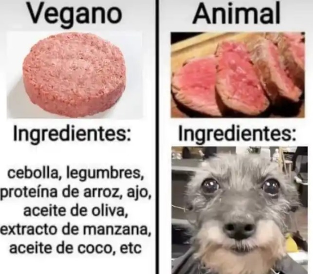 En Guatemala en 2017 no fue un meme si había carne de perro y casi siempre se hablaba de eso en las noticias