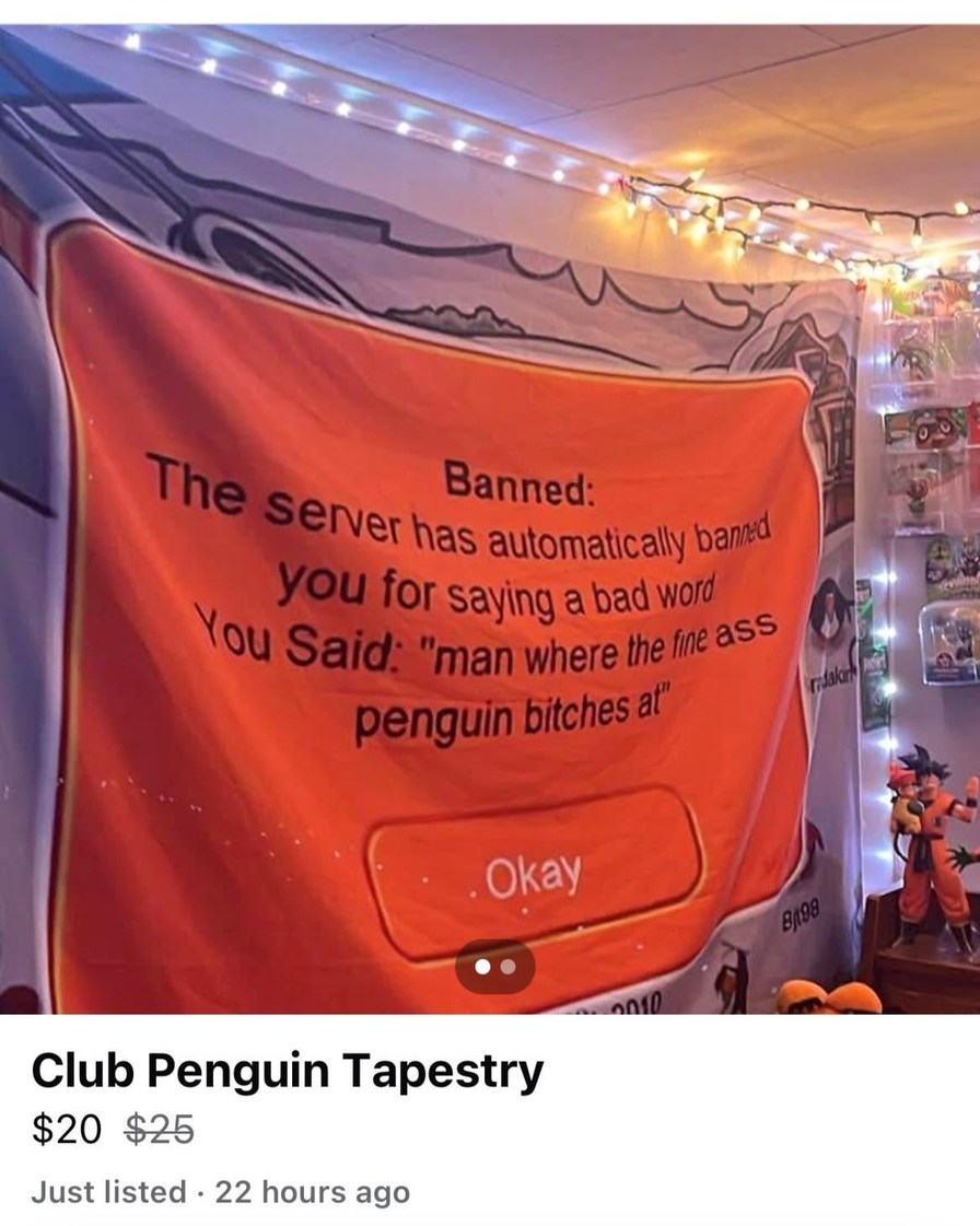 Got banned in Club Penguin for saying penguin bitches and honestly that’s iconic - meme