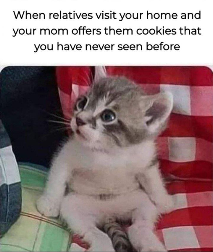 When mom offers guests snacks you've never seen in your life - meme