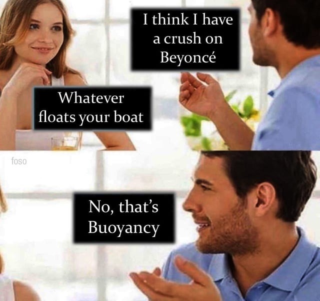 Got a crush on Beyoncé? That’s buoyancy bro - meme