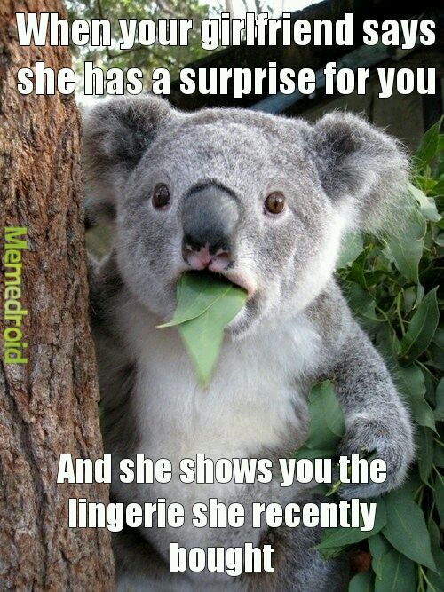 The Best Surprises Are Jaw Dropping Meme By Vincent Lambeth3998 Memedroid