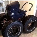 Cursed Buggy
