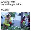 Fucking wasps