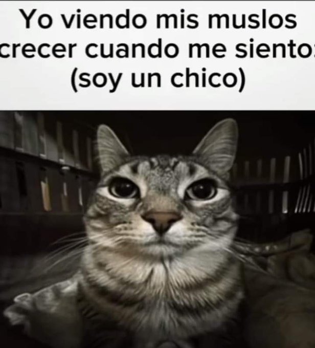 Si les pasa eso vuelvanse travas, no hay salvación alguna de ello - meme