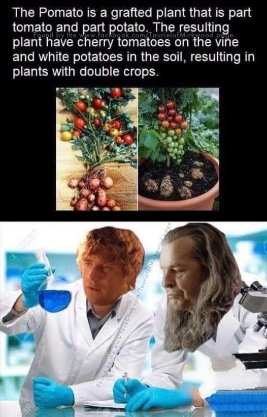 By their powers combined - meme