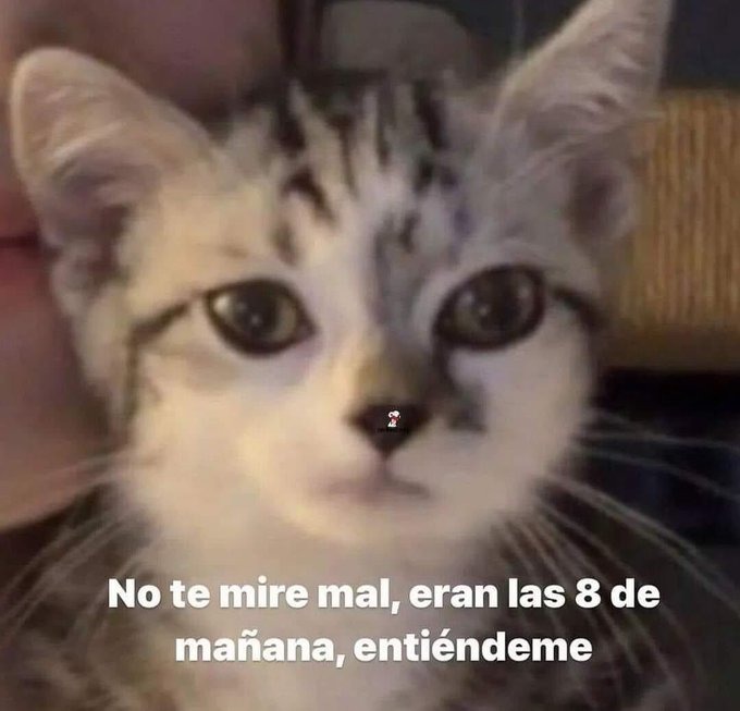 Meme de las 8 de la mañana