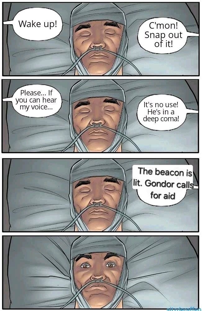 Never thought I'd fight side by side with a dead meme