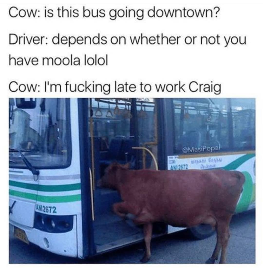 Title - meme