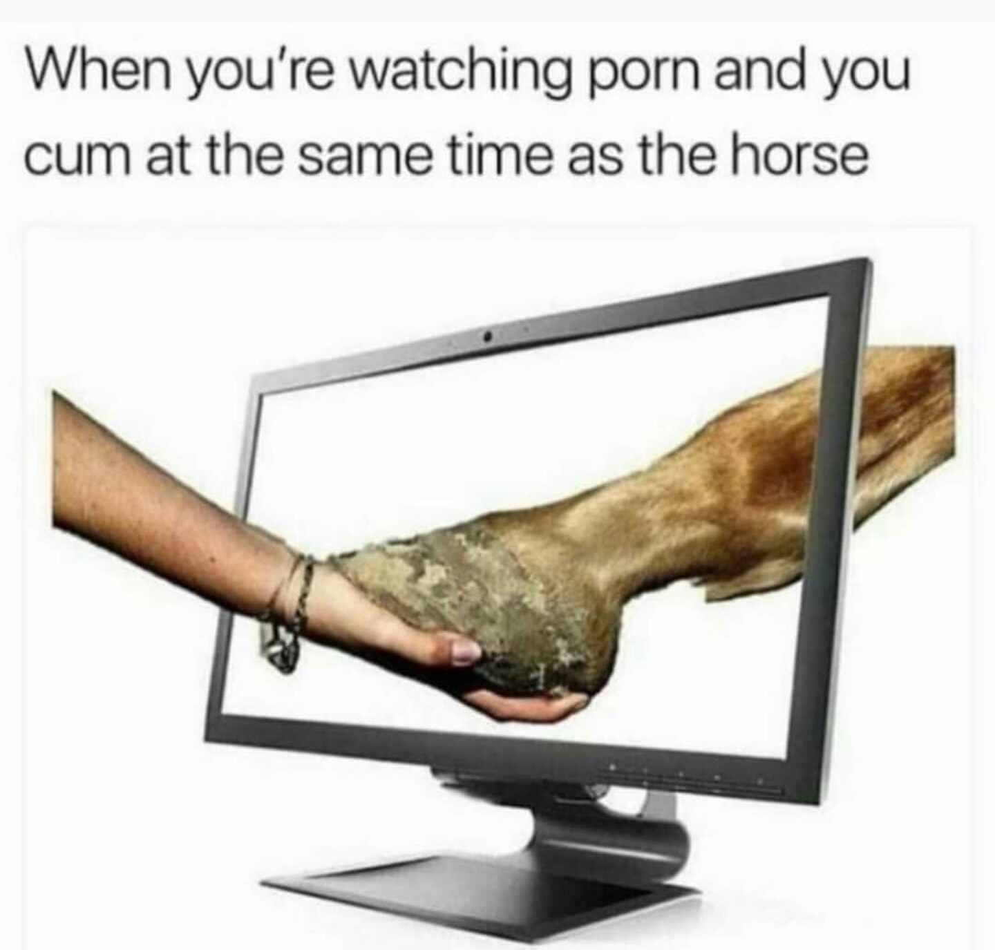 Tradução:qnd vc ta assistindo pornô e goza na mesma hora que o cavalo - meme