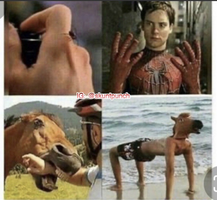 Horseman - meme
