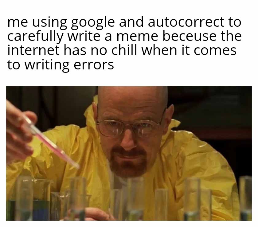 Internet has no chill when it comes to writing errors - meme