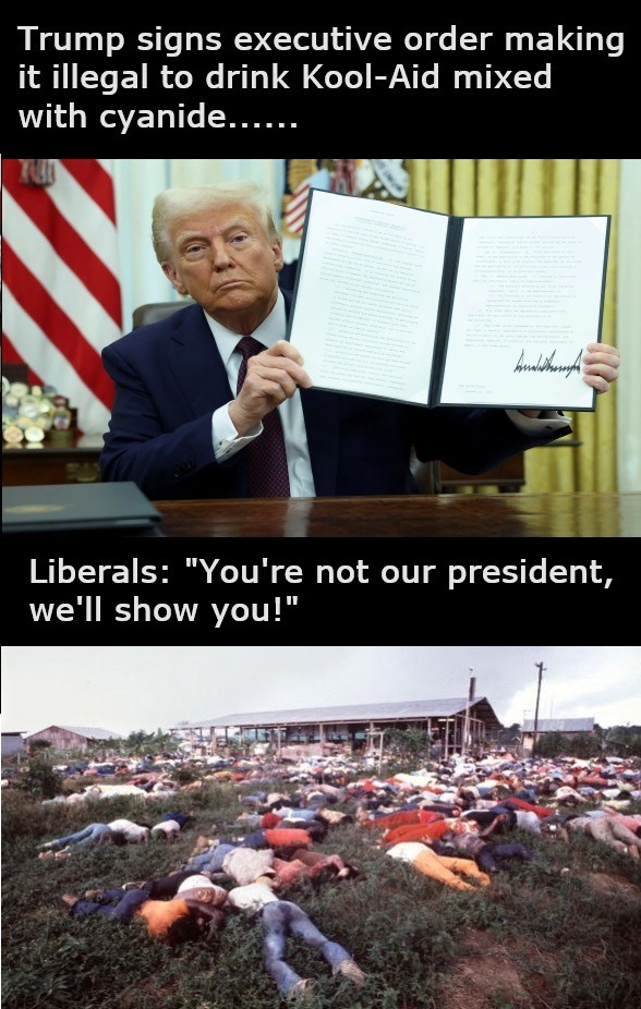 Trump Trolls Libs - meme