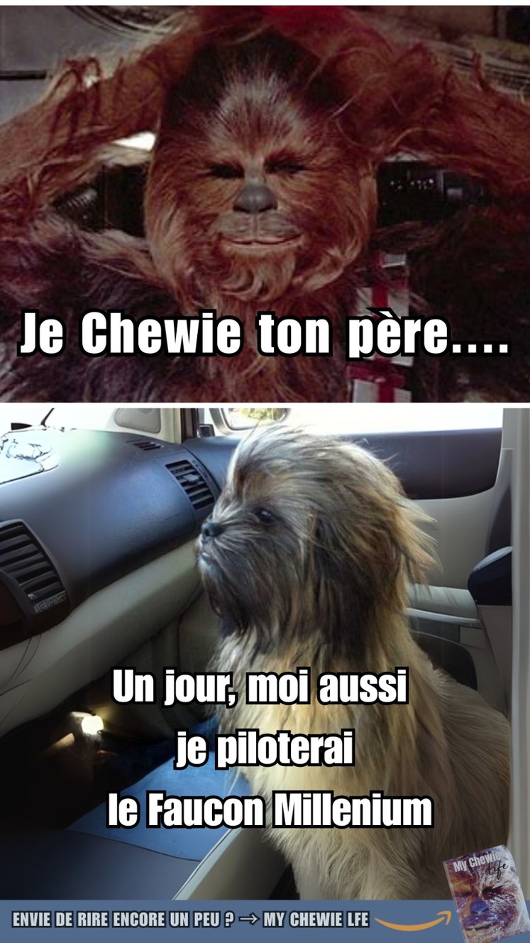 Je Chewie ton père... - meme