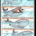 Como se crean los submarinos..