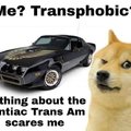 Le not know what trans are