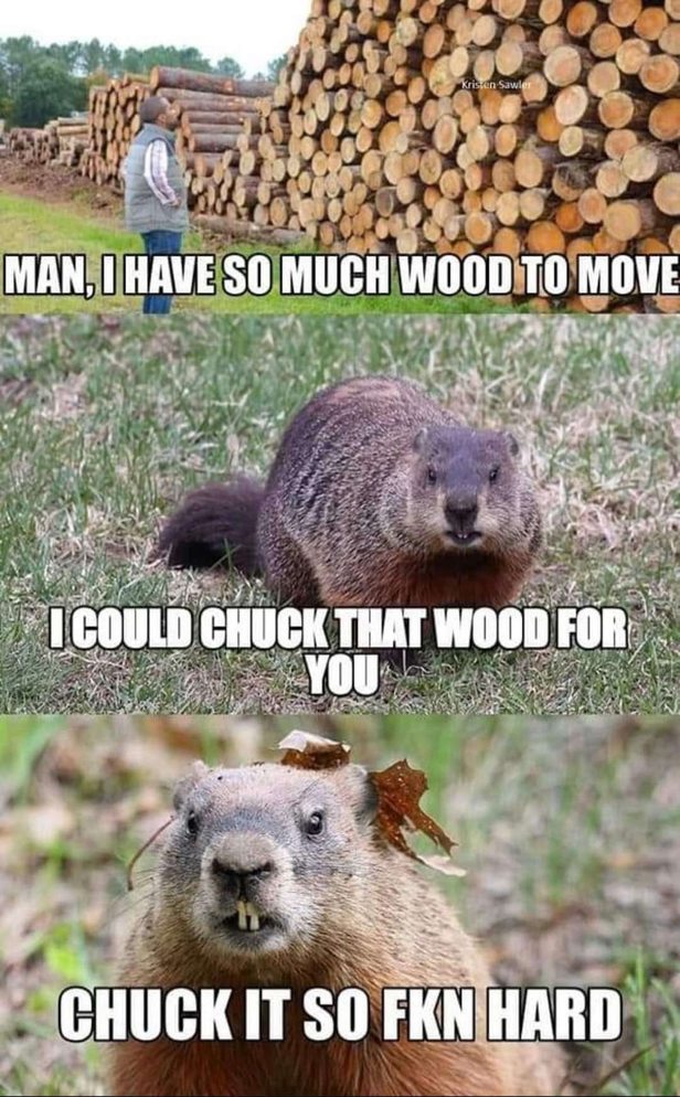 Wood chucks - meme