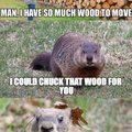 Wood chucks