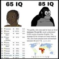 WE WUZ KANGS AND KWAINS BUT WIPEEPOH