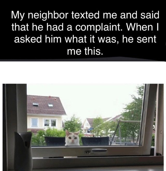 Neighbor complaint came with photo proof - meme