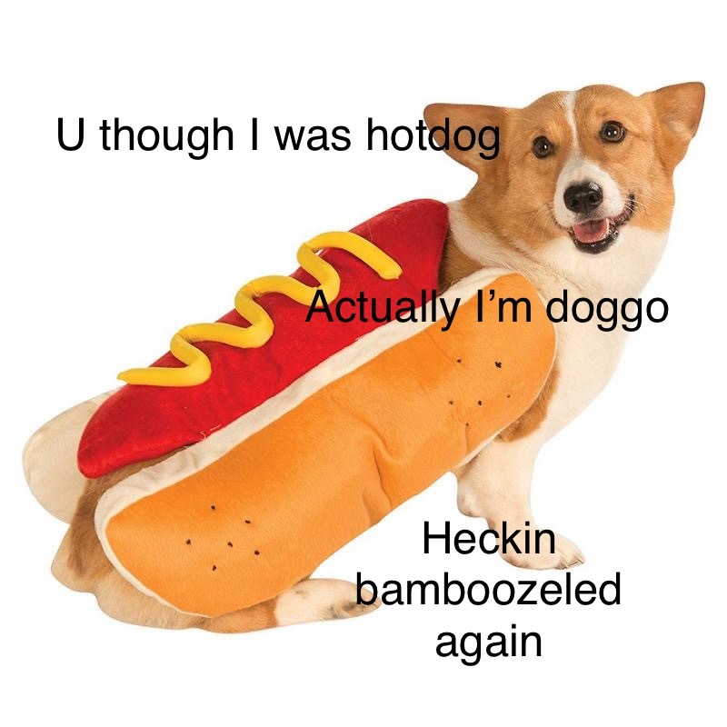 That one hotdog - meme