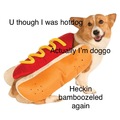 That one hotdog