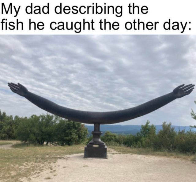 Dad describint the fish he caught - meme
