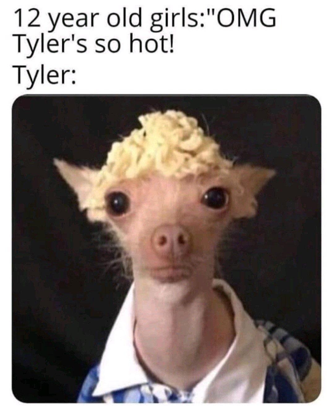 Tyler - meme