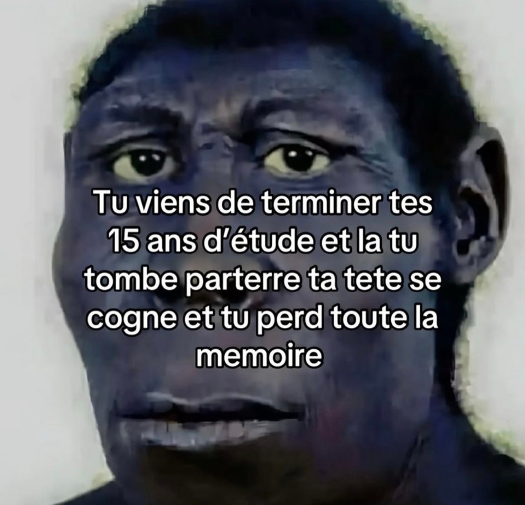 15 ans d'études pour tout oublier sur un trottoir - meme