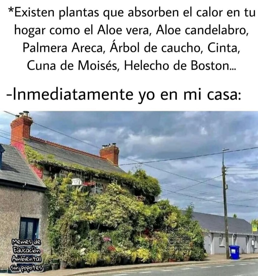 Esa soy - meme