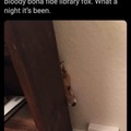 commented item thumbnail