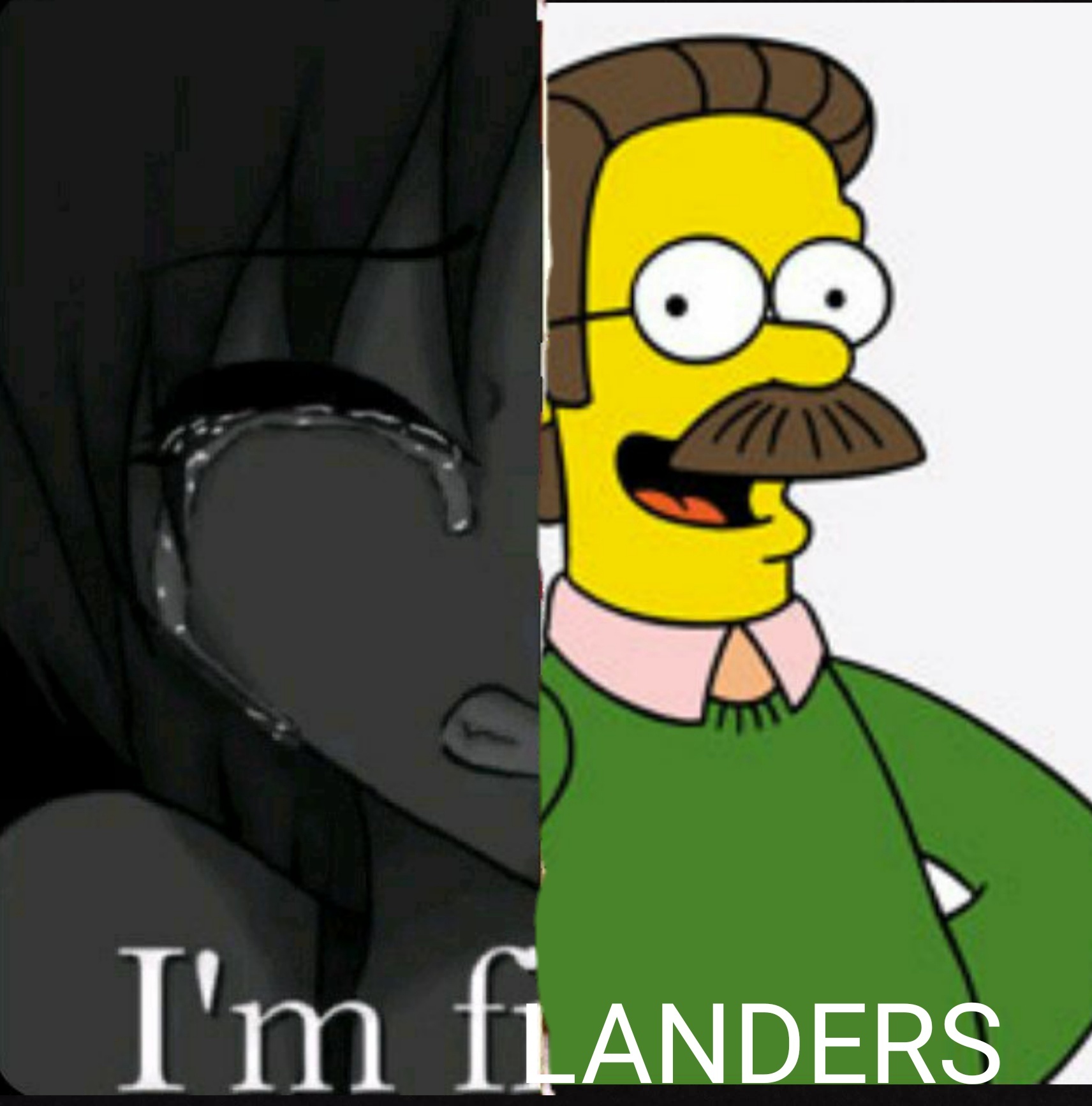 Im Flanders - meme